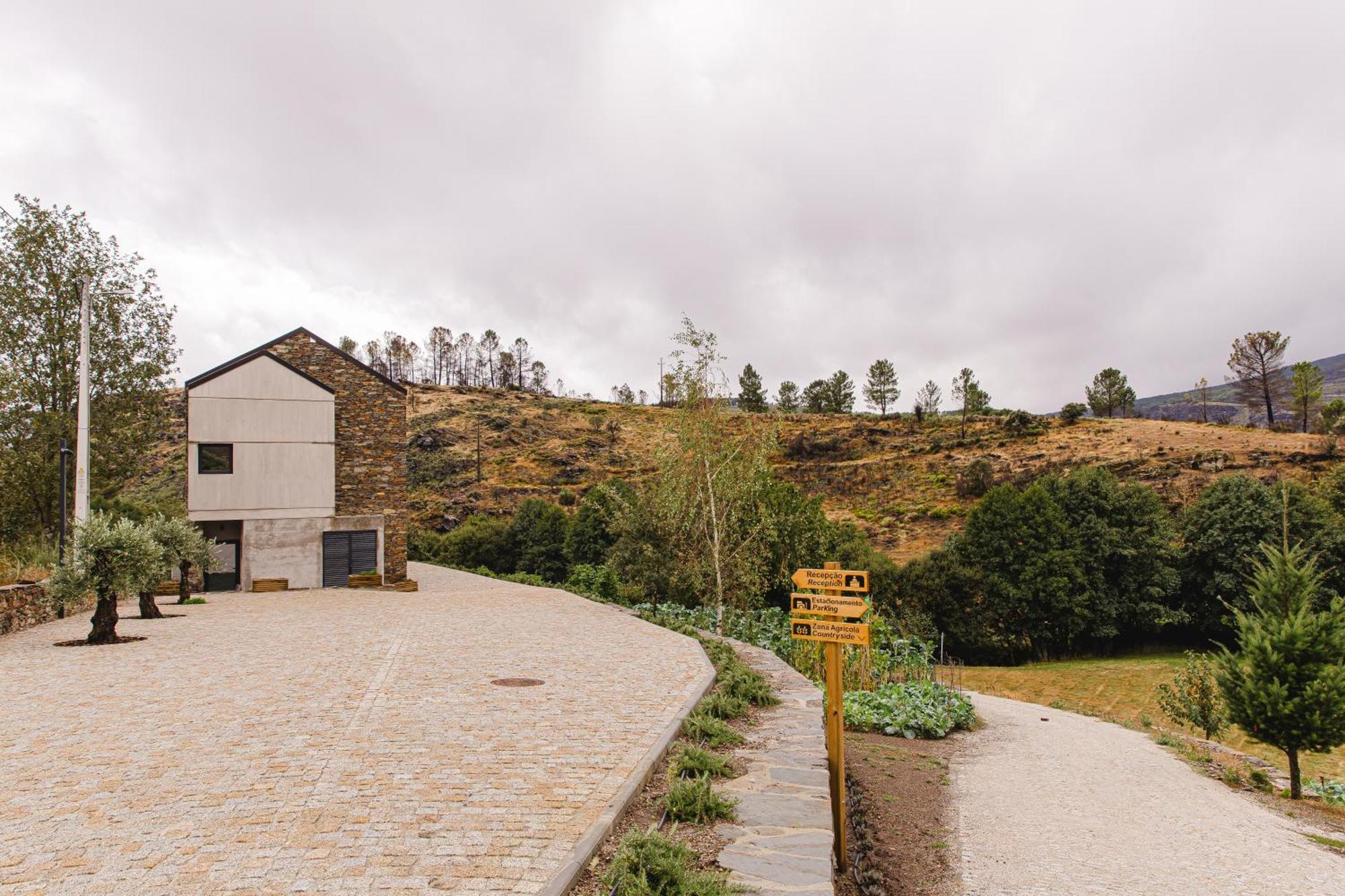 Videmonte Terrasense Mountain Charm Retreat & Farm 아파트 외부 사진