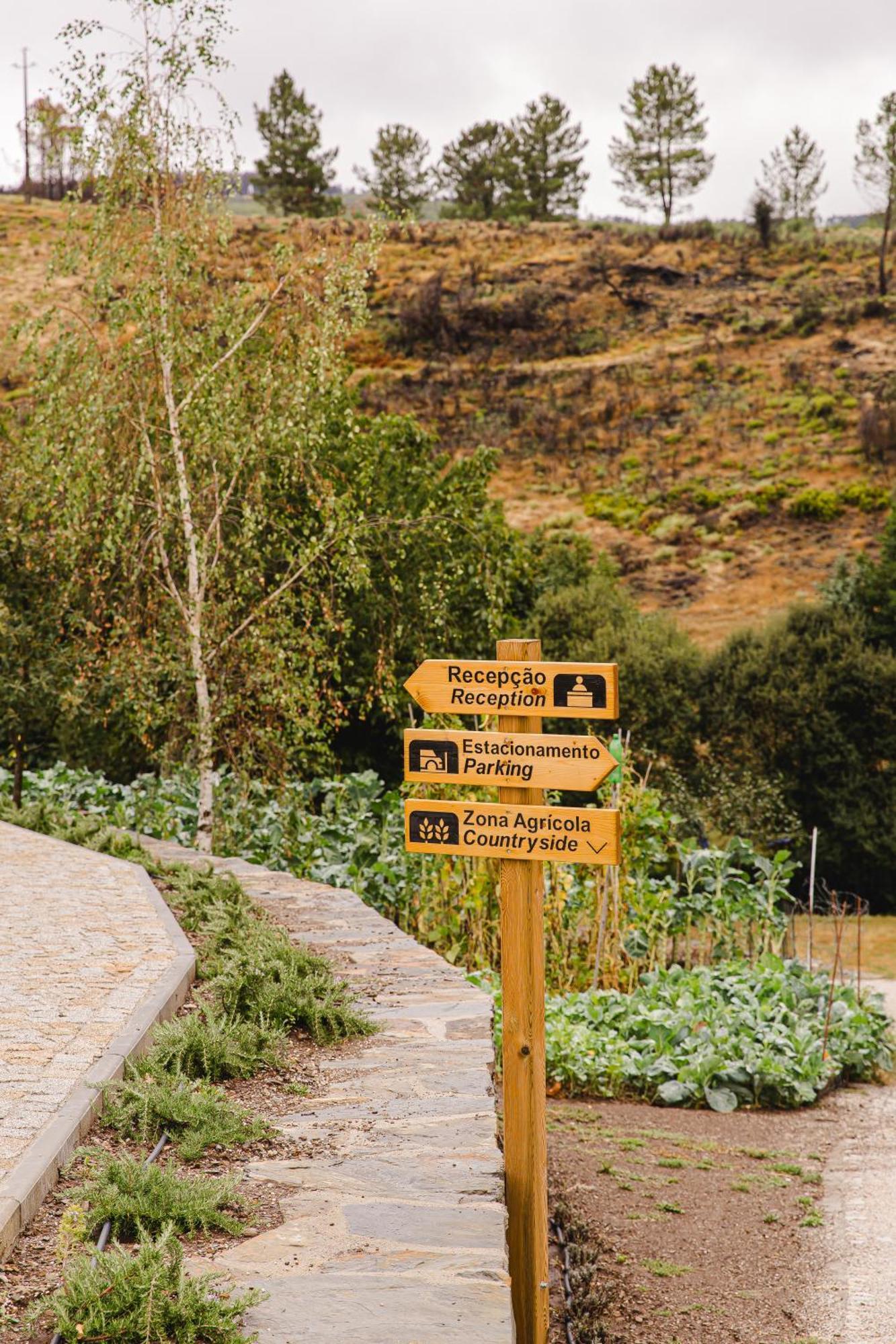 Videmonte Terrasense Mountain Charm Retreat & Farm 아파트 외부 사진